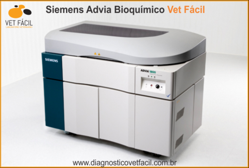 Exame Bioquímico Cães Valor Socorro - Exame Bioquímico Cachorro