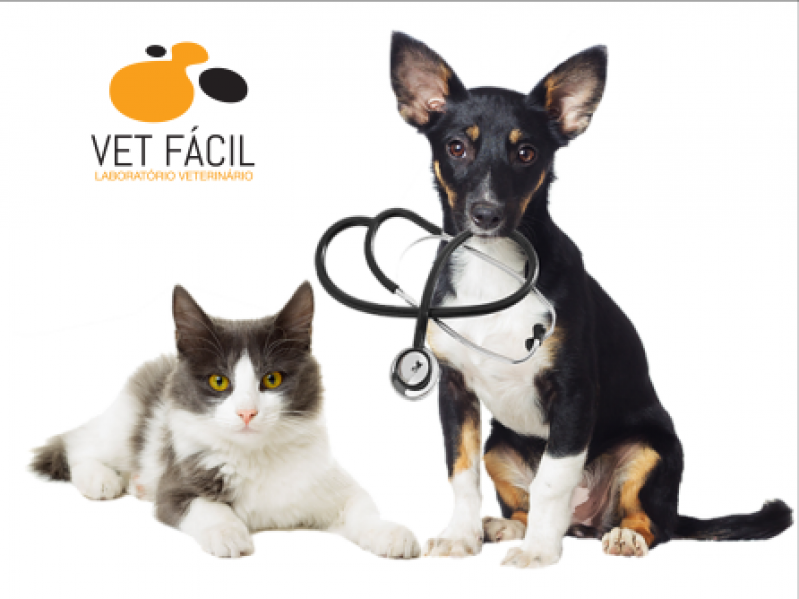 Exame Bioquímico Veterinário Alto de Pinheiros - Exame Histopatológico Veterinário