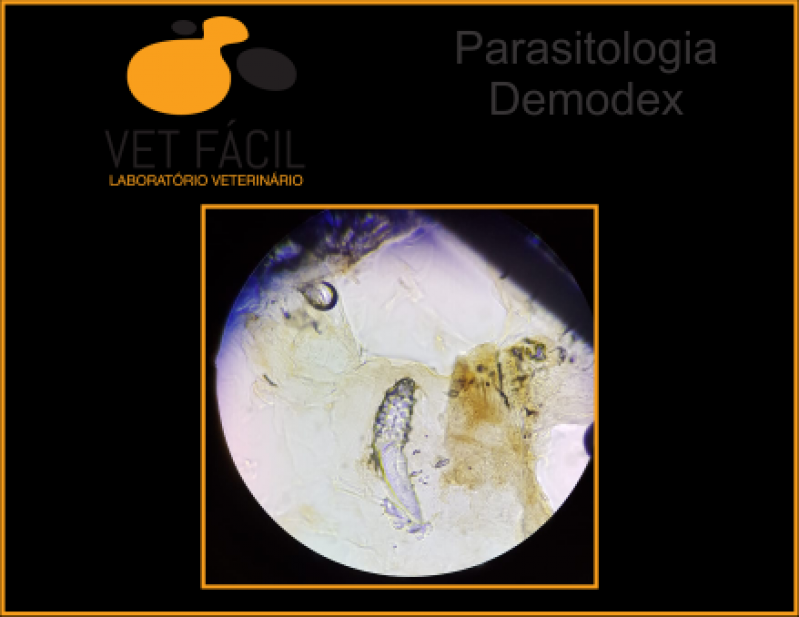 Exame Coproparasitológico Veterinário Preço Artur Alvim - Exame Histopatológico Veterinário