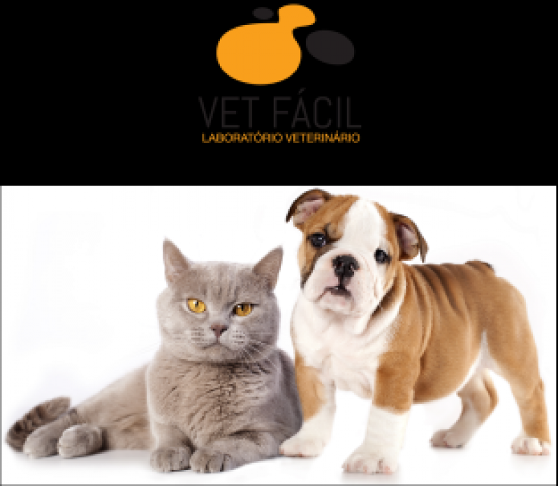 Exame Hematológico Veterinário Cidade Jardim - Exame Hematológico Veterinário