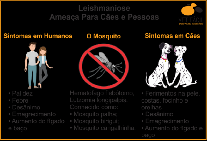 Exame Leptospirose Cães Tremembé - Exame em Cães