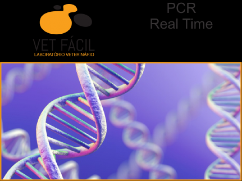 Exame Pcr Veterinário Preço Paulínia - Exame Hematológico Veterinário