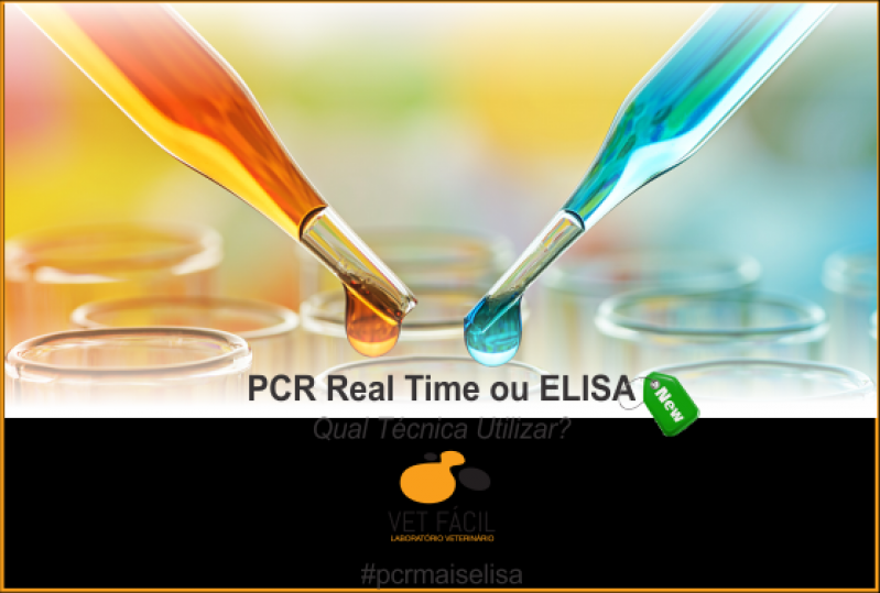 Exame Pcr Veterinário Cachoeirinha - Exame Pcr Veterinário