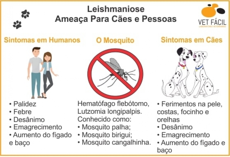 Exames Laboratoriais para Animais Praça da Arvore - Exames Laboratoriais para Animais