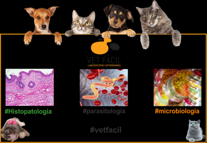 Exames Laboratoriais para Veterinário Preço Sacomã - Exames Laboratoriais Cães e Gatos