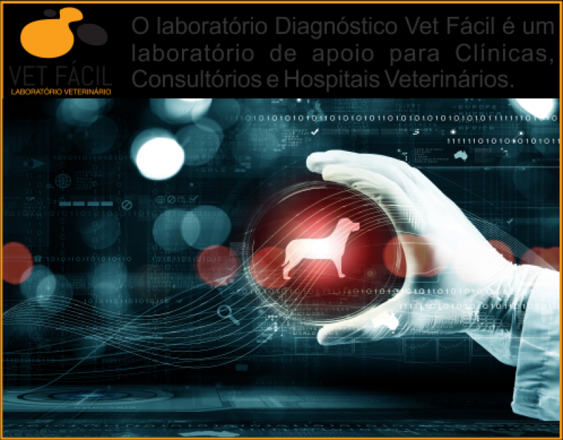 Exames para Medicina Veterinária Valor Raposo Tavares - Exame Laboratório Veterinário