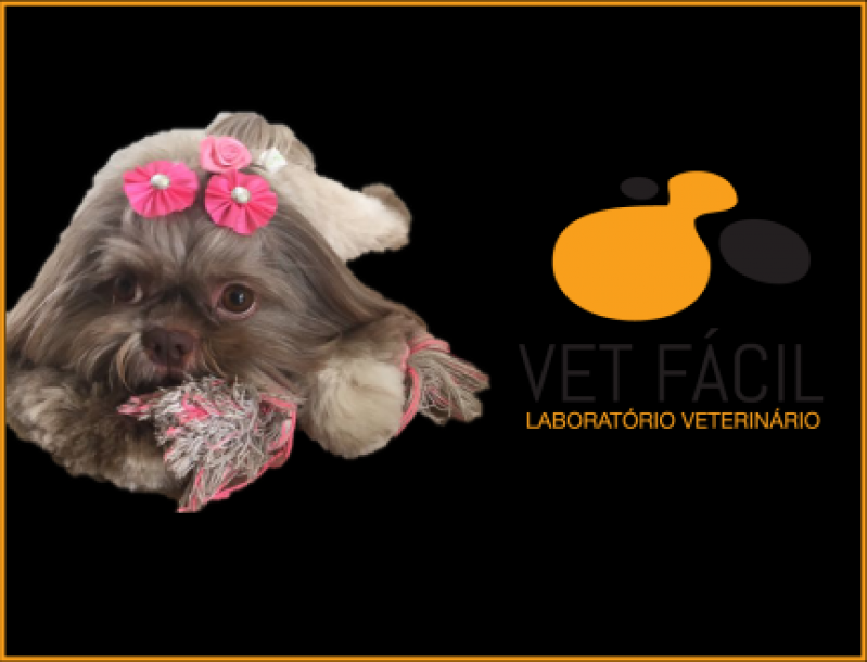 Laboratório Veterinário Homeopático Diadema - Laboratório Veterinário para Cães