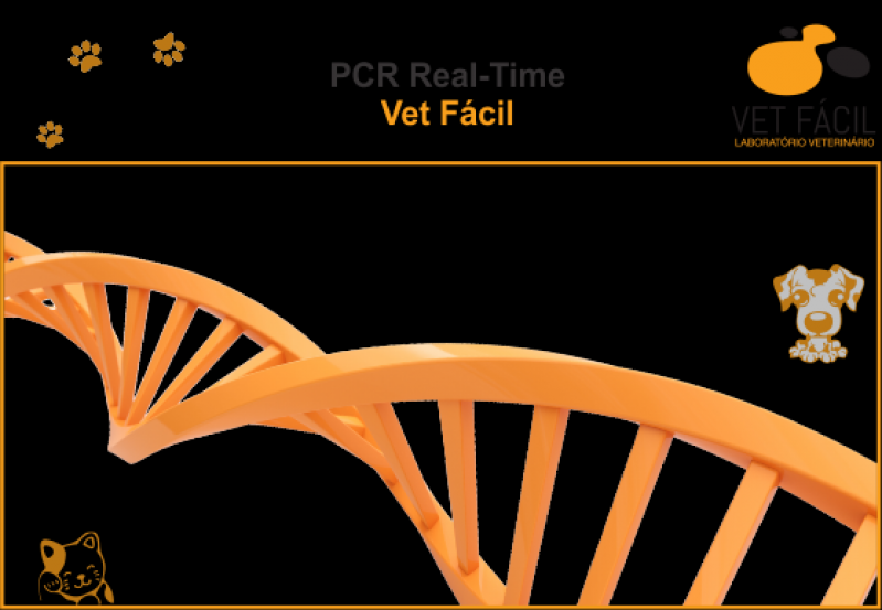 Onde Fazer Exame Pcr Veterinário Vila Formosa - Exame Bioquímico Veterinário