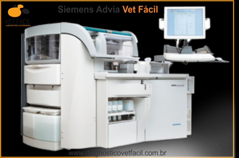 Onde Tem Laboratório Veterinário Diagnóstico Vila Formosa - Laboratório Veterinário de Analises Clinicas