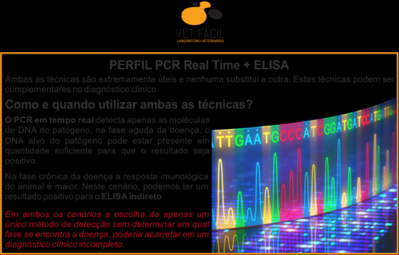 Qual o Valor de Exame Pcr Veterinário Morumbi - Exame Pcr Veterinário