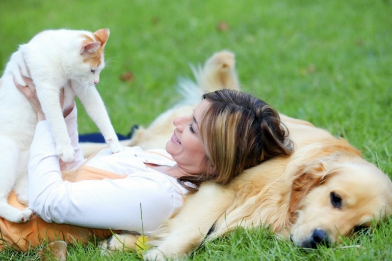 Quanto Custa Exames Laboratoriais para Gatos Campinas - Exames Laboratoriais para Animais Domésticos