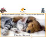 exame bioquímico cães Pinheiros