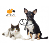 exame bioquímico veterinário Tucuruvi