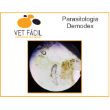 exame coproparasitológico veterinário preço Parelheiros