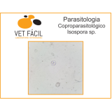 exame coproparasitológico veterinário Cidade Jardim