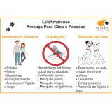 exame para leptospirose em cães Alto de Pinheiros