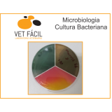 laboratoriais para clínicas veterinária Itaim Paulista