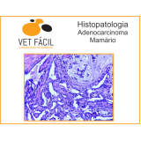 onde encontrar laboratório veterinário de análise Jaguariúna